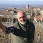 Claudio Conterno, presidente provinciale Cia, nei vigneti della sua azienda di Monforte d'Alba Claudio Conterno, presidente provinciale Cia, nei vigneti della sua azienda di Monforte d'Alba