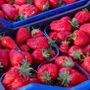 Monteu Roero, visite al castello e degustazioni con il Mercato della Terra