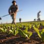 "Gli agricoltori non sono inutili, garantiscono cibo e presidiano il territorio"