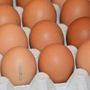 Allarme salmonella nelle uova: richiamato lo stesso lotto di Selex, Despar e Fattorie Natura Coop