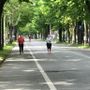 Ferragosto, è tempo di rimettersi in moto: bastano davvero tre minuti di sprint? Ferragosto, è tempo di rimettersi in moto: bastano davvero tre minuti di sprint?