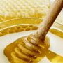 Amél’Amèl: a Sommariva del Bosco il miele incontra il Roero a tavola Amél’Amèl: a Sommariva del Bosco il miele incontra il Roero a tavola