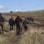 Fauna selvatica allo stremo dopo caldo, siccità e incendi: “Sospendere la caccia” Fauna selvatica allo stremo dopo caldo, siccità e incendi: “Sospendere la caccia”