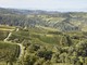 Il panorama delle Langhe e del Roero - fotografia di Marco Badiani