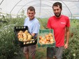 Ermanno ed Emiliano con alcuni pomodori appena raccolti
