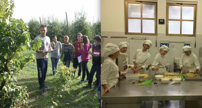 Gli studenti dell'Agrario all'azienda sperimentale in frazione Madonna dell'Olmo di Cuneo e gli allievi dell'Alberghiero impegnati nella preparazione della pasticceria