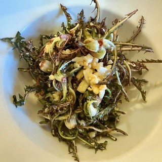 L’insalata di Tarassaco? Venite ad assaggiarla al ristorante Valli di Lanzo a Ceres