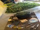 Guardia di Finanza, due arresti per coltivazione e traffico di stupefacenti a Cavallermaggiore
