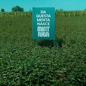 Mintriga: tutte le declinazioni della menta Mintriga: tutte le declinazioni della menta
