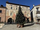 L'albero di Natale in piazza Maggiore a Mondovì che si accenderà per GinItaly L'albero di Natale in piazza Maggiore a Mondovì che si accenderà per GinItaly