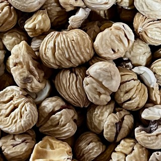 Azienda Agricola Marco Bozzolo: investire sulle castagne per custodire i castagneti