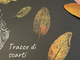 “Tracce di Scarti”: laboratorio creativo anti-spreco ad Alba