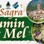 L'eccellenza del Toumin dal Mel in vetrina per la storica sagra di inizio agosto L'eccellenza del Toumin dal Mel in vetrina per la storica sagra di inizio agosto