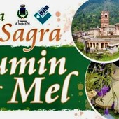 L'eccellenza del Toumin dal Mel in vetrina per la storica sagra di inizio agosto L'eccellenza del Toumin dal Mel in vetrina per la storica sagra di inizio agosto
