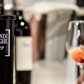 Grandi Langhe 2026: il Piemonte del vino parla al mondo Grandi Langhe 2026: il Piemonte del vino parla al mondo