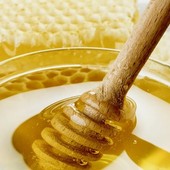 Amél’Amèl: a Sommariva del Bosco il miele incontra il Roero a tavola Amél’Amèl: a Sommariva del Bosco il miele incontra il Roero a tavola