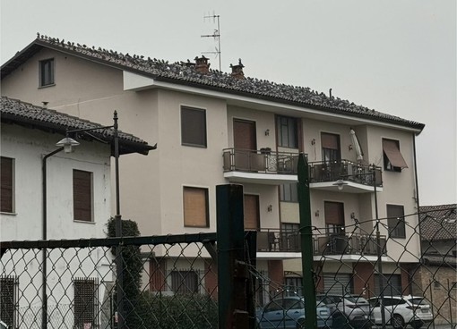 Il tetto del condominio di Pollenzo su cui "risiedono" circa 300 colombi