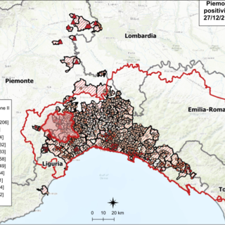 Peste Suina Africana, nuovo aggiornamento nei dati: cinque casi in più in Piemonte, tutti a Saliceto