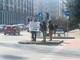 Cuneo, contro il taglio dei cedri di piazza Europa va in scena la protesta dei clacson [FOTO]