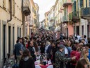 Alcune immagini dalla giornata Alcune immagini dalla giornata