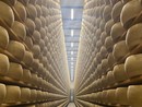 Il "Bianco" della cooperativa Piemonte Latte: un progetto che continua dal 2023 con ottimi risultati Il "Bianco" della cooperativa Piemonte Latte: un progetto che continua dal 2023 con ottimi risultati