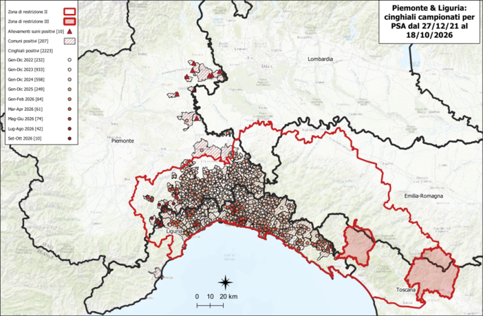 Peste suina africana: a Camerana e Cengio i nuovi casi nelle province di Cuneo e Savona Peste suina africana: a Camerana e Cengio i nuovi casi nelle province di Cuneo e Savona