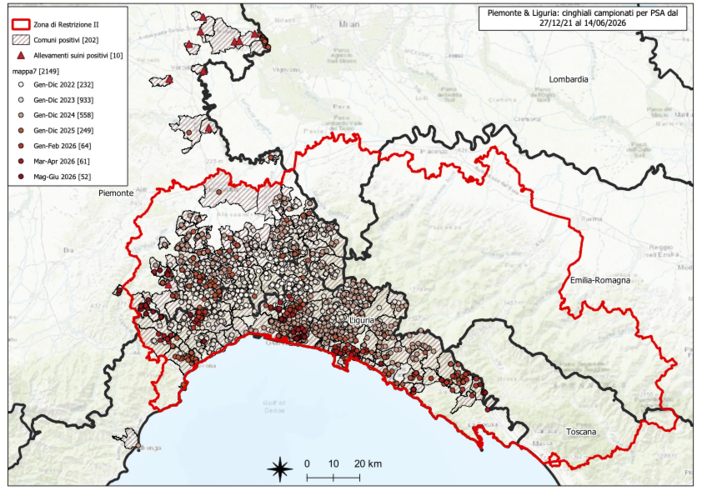 Peste suina africana: salgono a quattro le positività su cinghiali rilevate in provincia Peste suina africana: salgono a quattro le positività su cinghiali rilevate in provincia