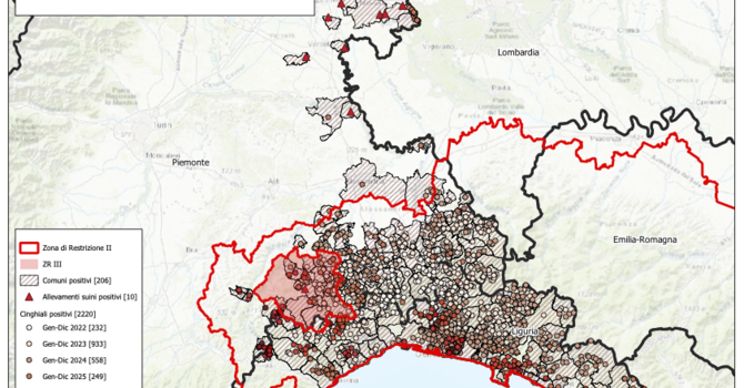 Peste Suina Africana, nessun nuovo caso sui territori di Piemonte e Liguria