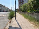 I marciapiedi di Alba, invasi dall'erba alta