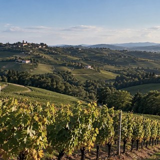 Turismo del vino, tabUi tra i tre progetti più innovativi d’Europa secondo Un Tourism