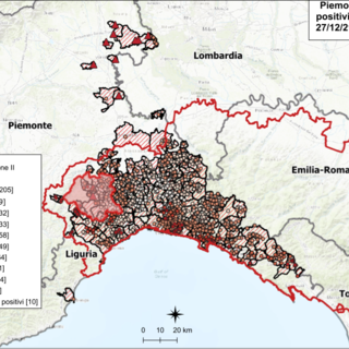 Peste suina africana: nessun nuovo caso in Piemonte, due in Liguria