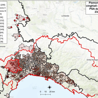 La mappa dei contagi La mappa dei contagi