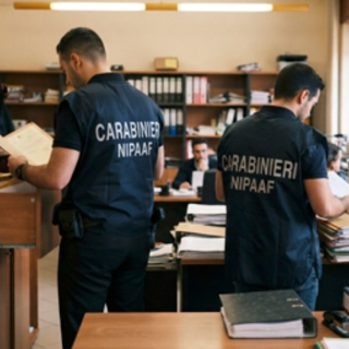 Clavesana, avviso di fine indagine per undici persone: contestati falso, peculato e vendita illecita di terreni di proprietà del Comune