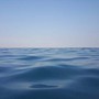 Tempo del Creato 2026 dal 1° settembre al 4 ottobre: Acqua viva Tempo del Creato 2026 dal 1° settembre al 4 ottobre: Acqua viva