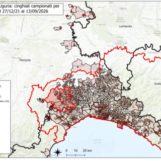 La mappa dei contagi