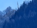 Immagine di repertorio di un ripetitore