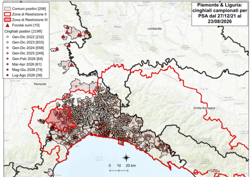 La mappa dei contagi La mappa dei contagi