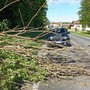 Vento forte con raffiche sino a 75 km/h in diverse zone della provincia. Numerosi gli interventi dei Vigili del fuoco per la caduta di alberi e rami