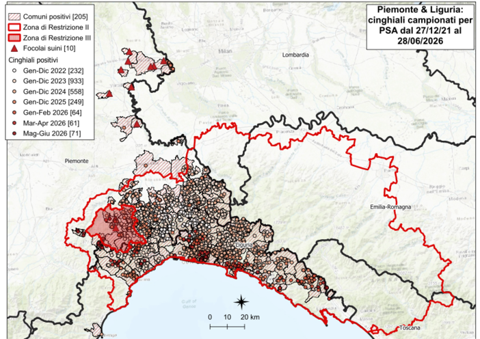 Peste Suina Africana: si allarga la mappa dei positivi in provincia di Cuneo. Cinque casi tra Arguello e Cerretto Langhe
