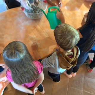 Ad Alba i bambini diventano "Piccoli Esploratori del Verde": al via i laboratori nella natura