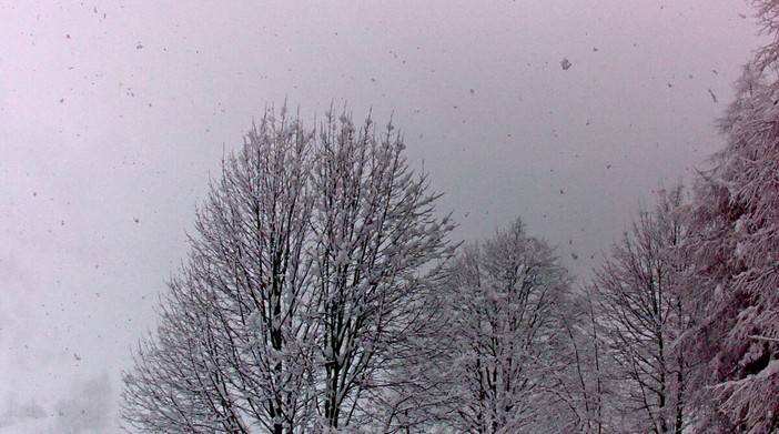 Immagine dalla webcam del Comune di Castelmagno