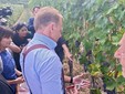 Nelle foto alcuni momenti della giornata organizzata a Barolo Nelle foto alcuni momenti della giornata organizzata a Barolo
