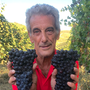 Franco Anselma era il titolare di una storica azienda vitivinicola di Serralunga d'Alba Franco Anselma era il titolare di una storica azienda vitivinicola di Serralunga d'Alba