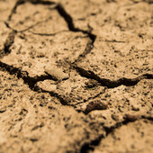 Siccità, Confagricoltura Piemonte: “Servono subito strumenti per sostenere le imprese agricole” Siccità, Confagricoltura Piemonte: “Servono subito strumenti per sostenere le imprese agricole”
