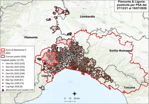 Peste suina africana: nessun nuovo caso in Piemonte, due in Liguria Peste suina africana: nessun nuovo caso in Piemonte, due in Liguria