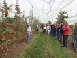La visita alle piante della Mela Tessa® nel Centro sperimentale Agrion