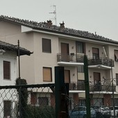 Il tetto del condominio di Pollenzo su cui "risiedono" circa 300 colombi Il tetto del condominio di Pollenzo su cui "risiedono" circa 300 colombi