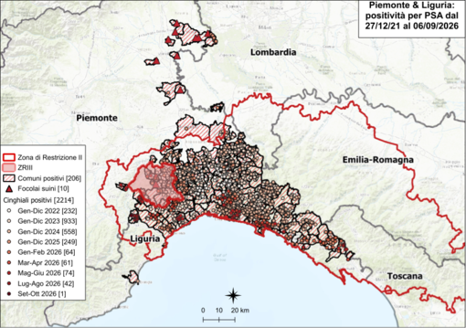 Peste Suina Africana, nuovo aggiornamento nei dati: cinque casi in più in Piemonte, tutti a Saliceto Peste Suina Africana, nuovo aggiornamento nei dati: cinque casi in più in Piemonte, tutti a Saliceto