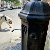 IL METEO / Ancora qualche giorno di caldo oltre la media. Da lunedì le temperature torneranno su valori normali