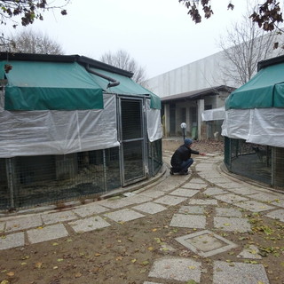 Il canile intercomunale di Pollenzo